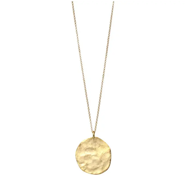 Tasi & Stowaway Evan Long Necklace - Gold