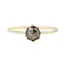 AILI FINE Rose Cut 8 Prong Salt and Pepper Diamond Ring 18k Gold