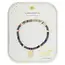 Scout Intention Charm Bracelet  Labradorite/Gold