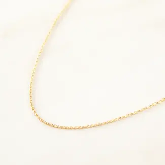 Tasi & Stowaway X Small Rolo Chain 20" - Gold