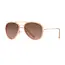 Blue Planet Eyewear Asher - Beige/Gold/Gradient Brown