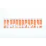 Ginger June Candle Co Roll On Perfume- no.9 Cassis