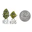 Nice Enough Stickers Mini Sticker- Best Buds