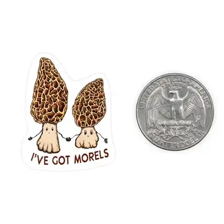 Nice Enough Stickers Mini Sticker- Morels