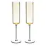 Viski Laurel Champagne Flutes