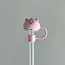 Harris Girls & Co Straw Cover LG  Pig