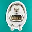Abundance Illustration Hedgehog w/ Cake