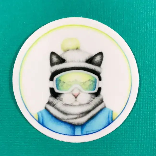 Abundance Illustration AI- Ski Cat