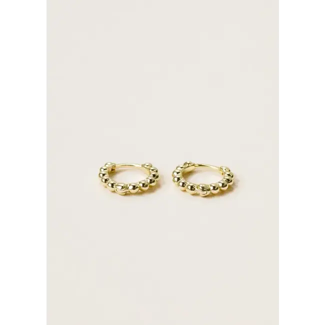 JaxKelly Earrings Small Ball Hoop Gold