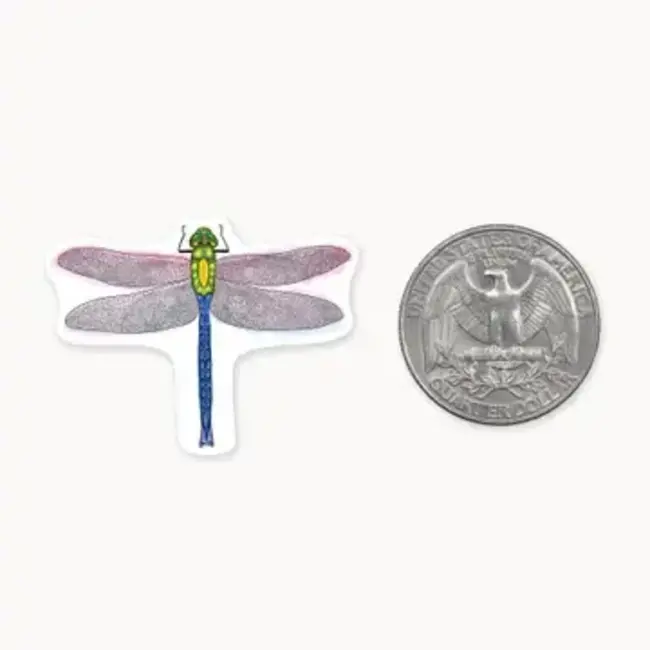 Nice Enough Stickers Mini Sticker- Dragonfly