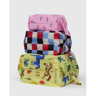 Baggu 3D Zip Set - Painted Prairie