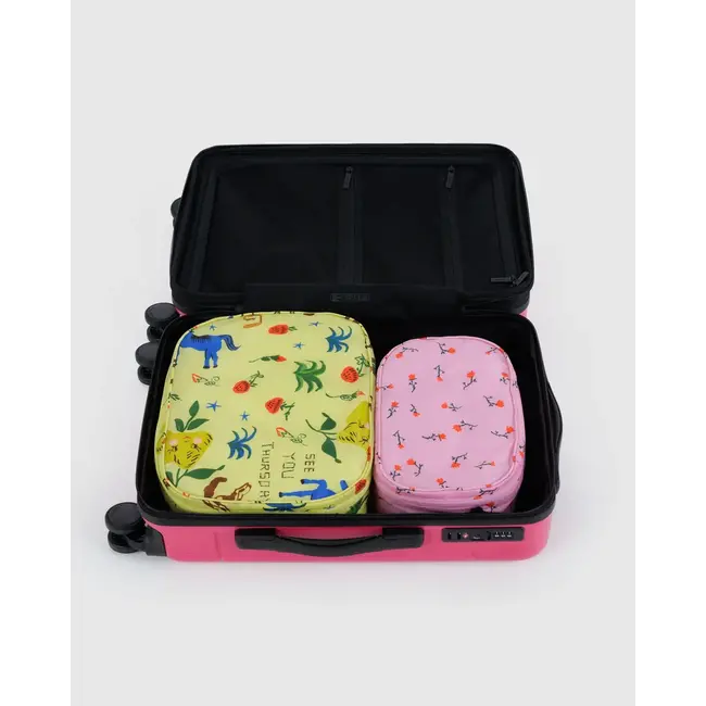 Baggu Packing Cube Set  - Painted Prairie