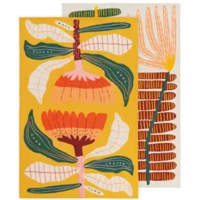 Danica now designs Venus Dishtowels Set of 2