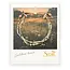 Scout Mixed Media Bracelet - Joy/Dalmatian Jasper/Gold