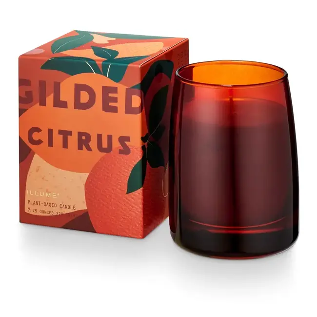 Illume Gilded Citrus Boxed Glass Candle