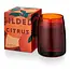 Illume Gilded Citrus Boxed Glass Candle