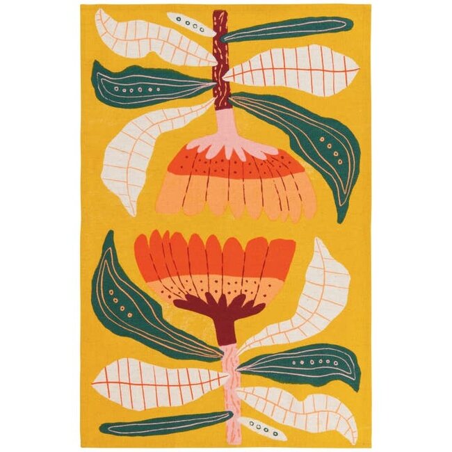 Danica now designs Venus Dishtowels Set of 2