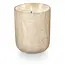 Illume Winter White Small Boxed Crackle Glass Candle