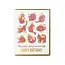 Noteworthy Paper and Press 9 Lives Birthday Card