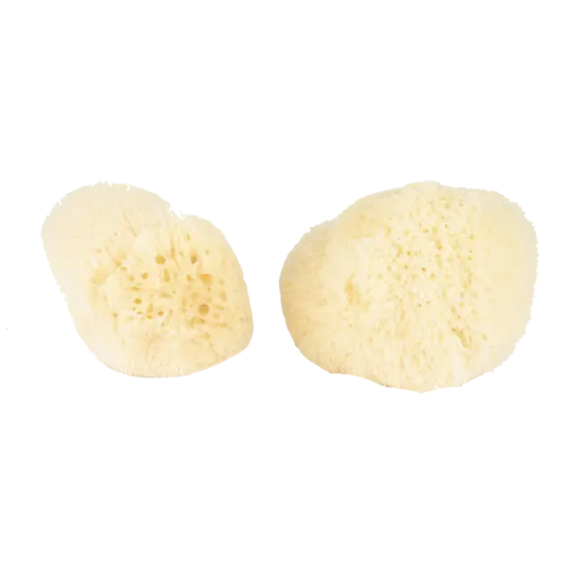 Baudelaire Silk Sponge 2 pack