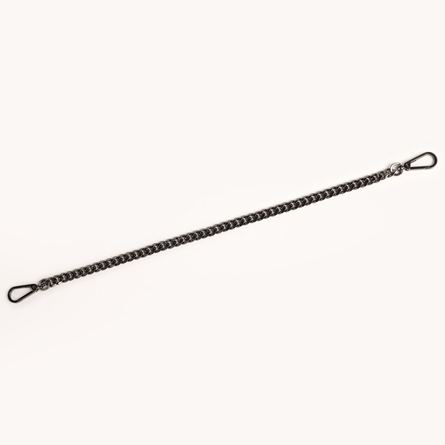 Hammitt Metal Chain Shoulder Strap- GM