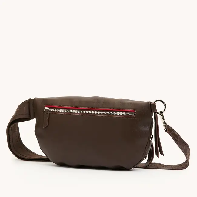 Hammitt Charles Crossbody Large- Espresso- Silver