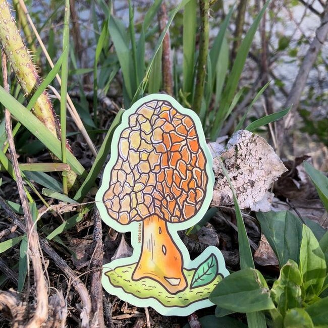 Heirloom Morel Mushroom Sticker