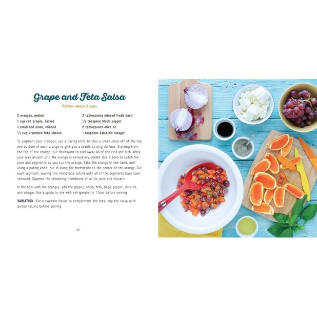 Gibbs Smith Big Dips: Cheese, Salsa, Pesto, Hummus