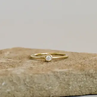 JaxKelly Gold Rings Simple Stud- 6