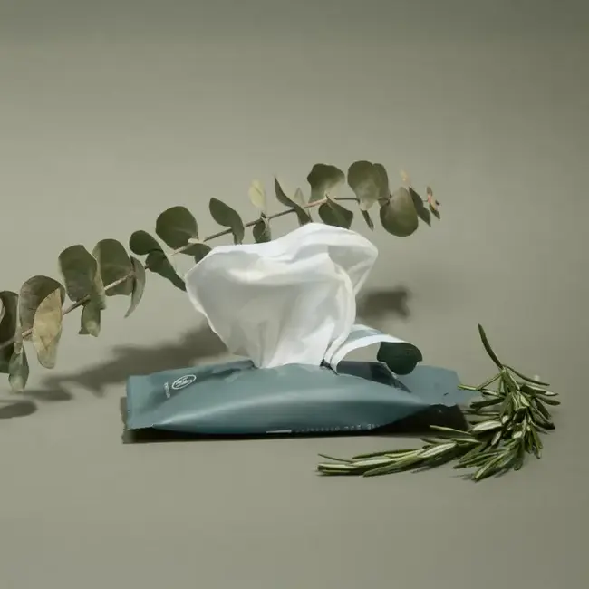 Noshinku Hand Sanitizing Travel Wipes- Eucalyptus