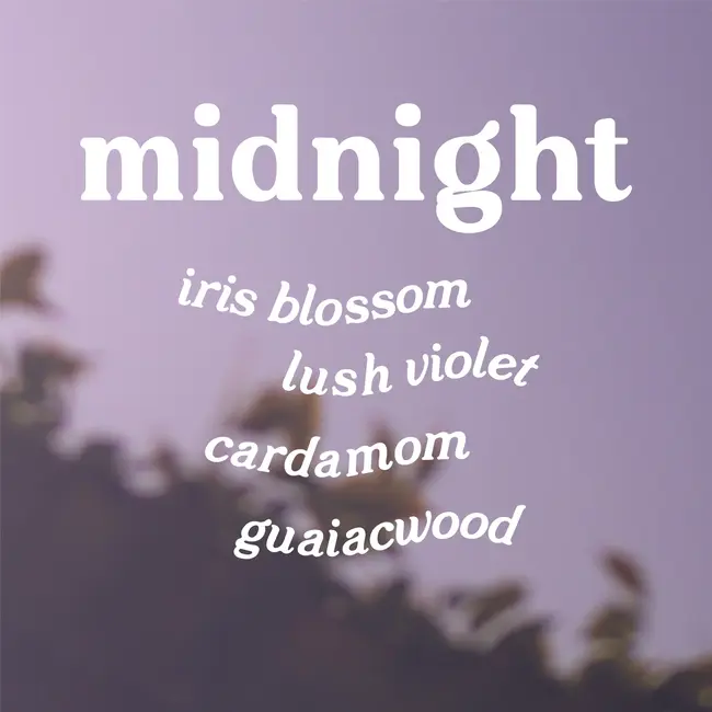 GP Candle Co. Midnight Hue Candle- Black Iris