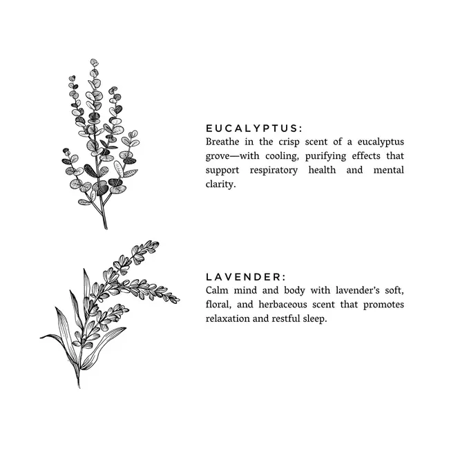 Slow North Eucalyptus + Lavender Candle