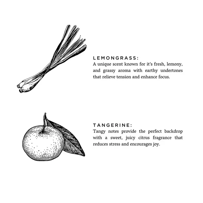 Slow North Lemongrass + Tangerine Candle