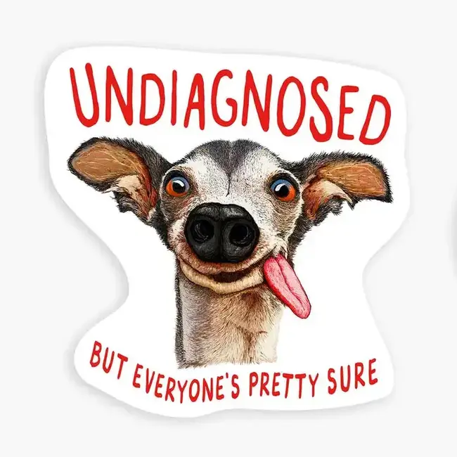 Nice Enough Stickers Mini Sticker- Undiagnosed