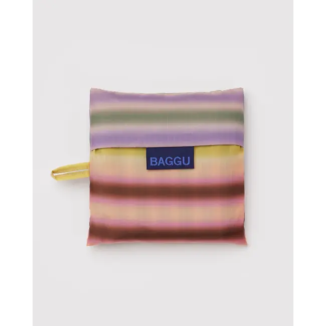 Baggu Standard Baggu- Gradient Stripe Multi