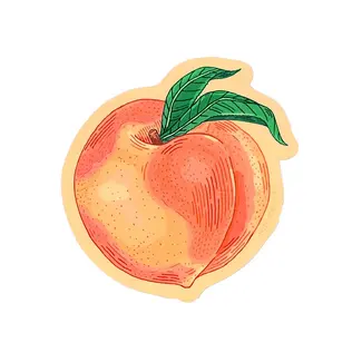 Noteworthy Paper and Press Peach Sticker