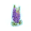Noteworthy Paper and Press Lupine Sticker