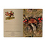 Bruno Visconti Notebook- Mushroom Watercolor