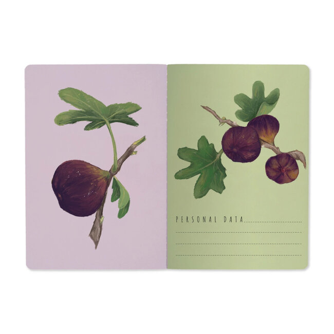 Bruno Visconti Notebook- Figs on White