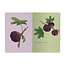 Bruno Visconti Notebook- Figs on White