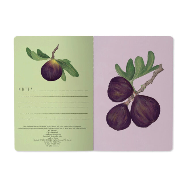 Bruno Visconti Notebook- Figs on White