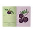 Bruno Visconti Notebook- Figs on White