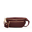 Hammitt Charles Crossbody Lrg- Wine Nylon- G