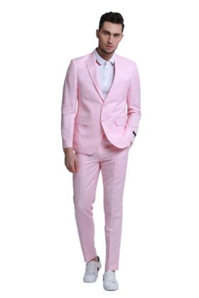 Tazzio 2Pc Linen Suit - Pink