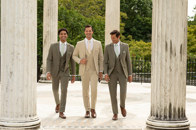 Essential  Pants - Sage