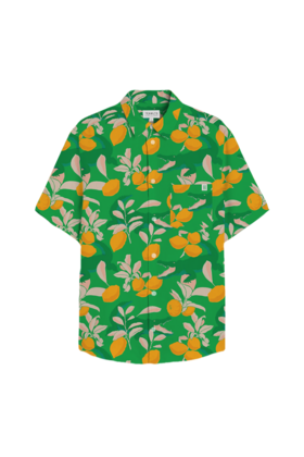 TEAMLTD Classic Button-Up - Florida Green