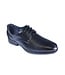 Avellino Boys Plain Toe Oxford - Black