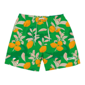 TEAMLTD Swim Shorts - Florida Green