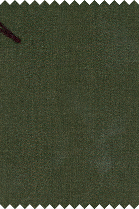 Essential Suspenders - Evergreen