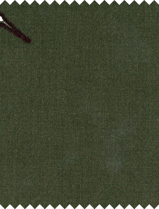 Essential Suspenders - Evergreen